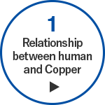 STEP1 Relationship between human and Copper